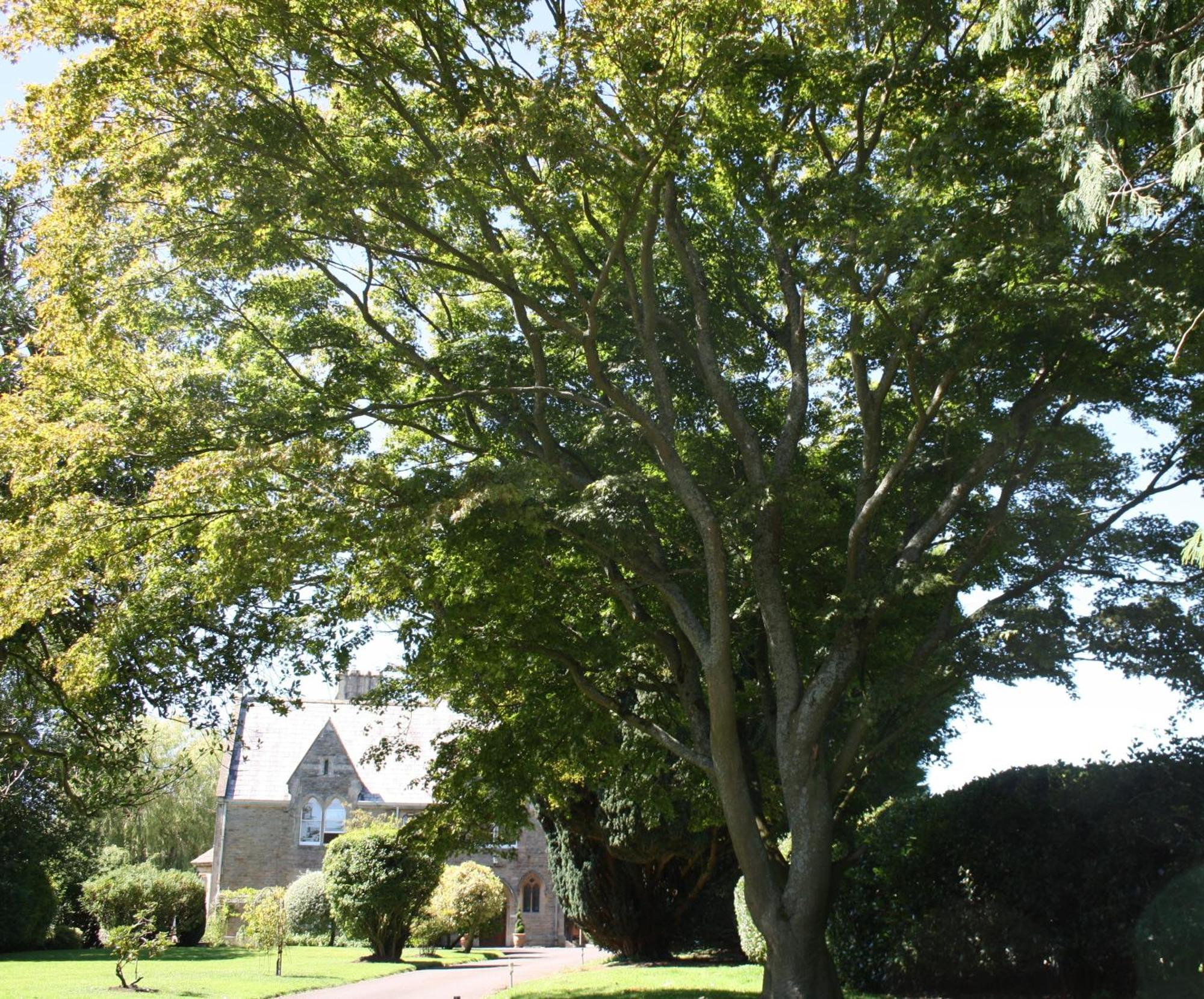 The Rectory Lacock - Boutique Bed And Breakfast Exterior photo